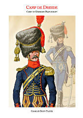 Napoleon's Last Grande Armee 