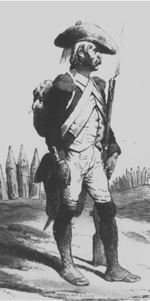 French Revolutionary Uniforms