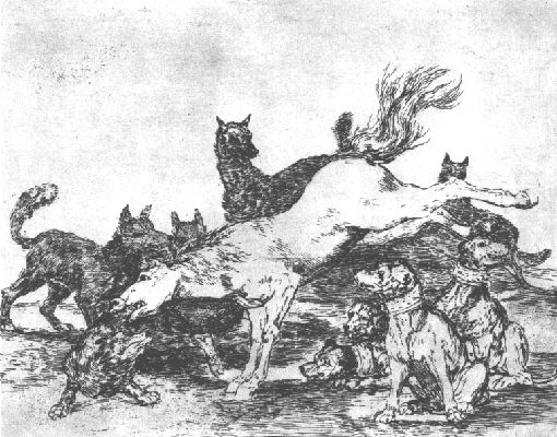 Goya's Disasters of War